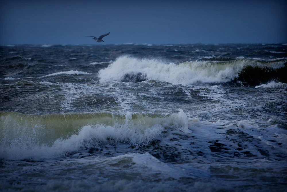 blogg-150110stormenegon5.jpg