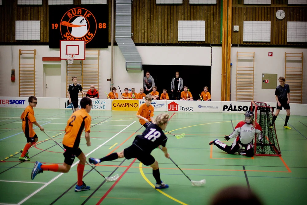 blogg-150110bualajet1.jpg