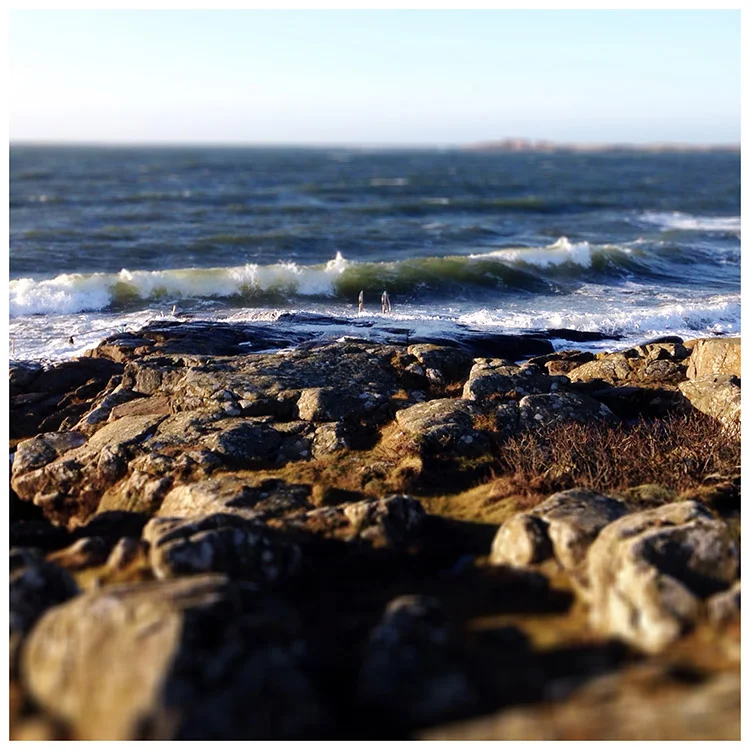 blogg-150107varberg3.jpg