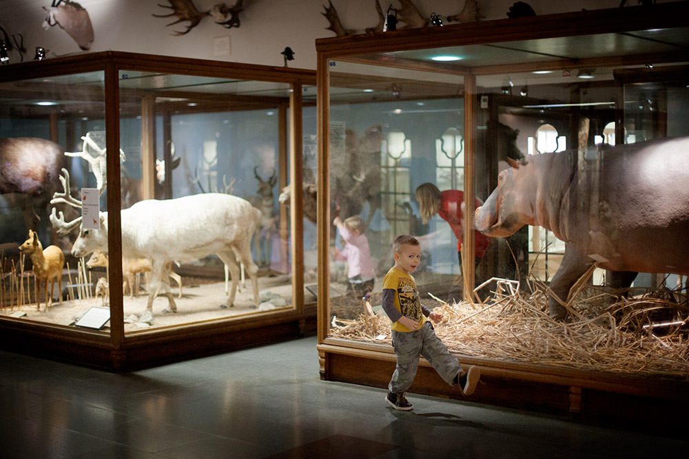 blogg-150103naturhistoriska3.jpg
