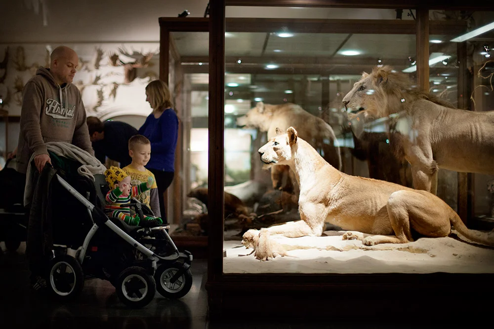 blogg-150103naturhistoriska10.jpg