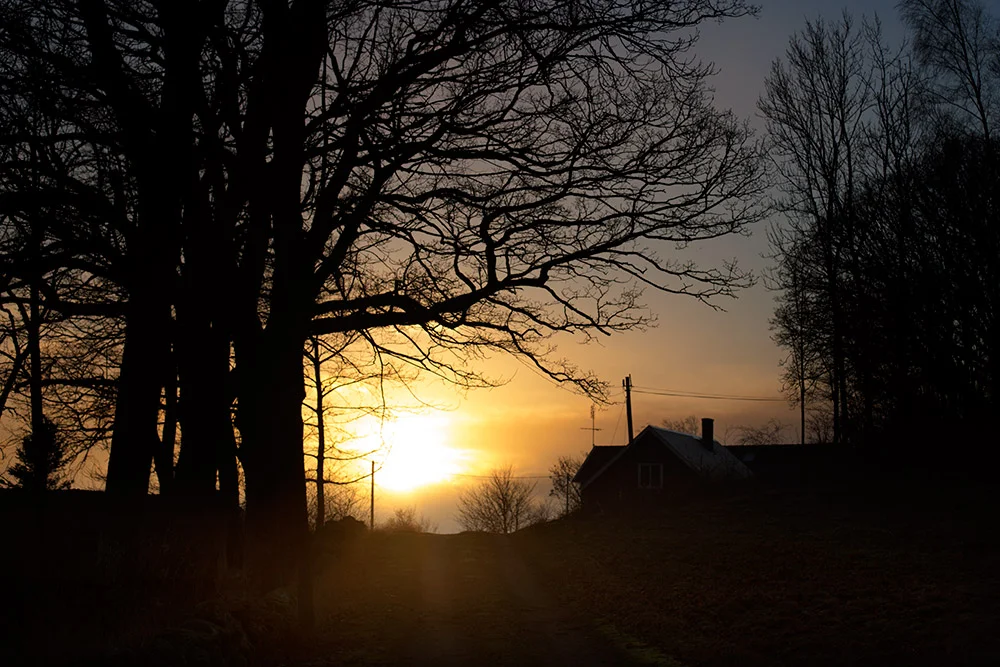 blogg-150102ewa66solned.jpg