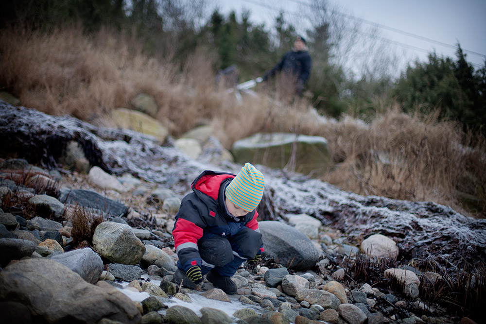 blogg-141228skogenstranden17.jpg
