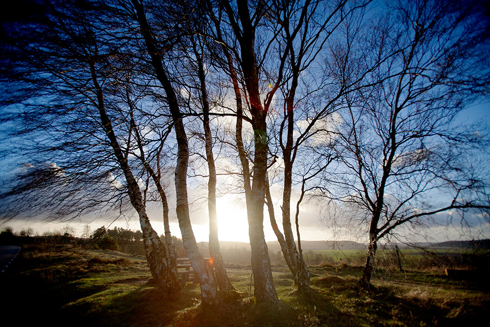 blogg-141213fjarasbracka8.jpg