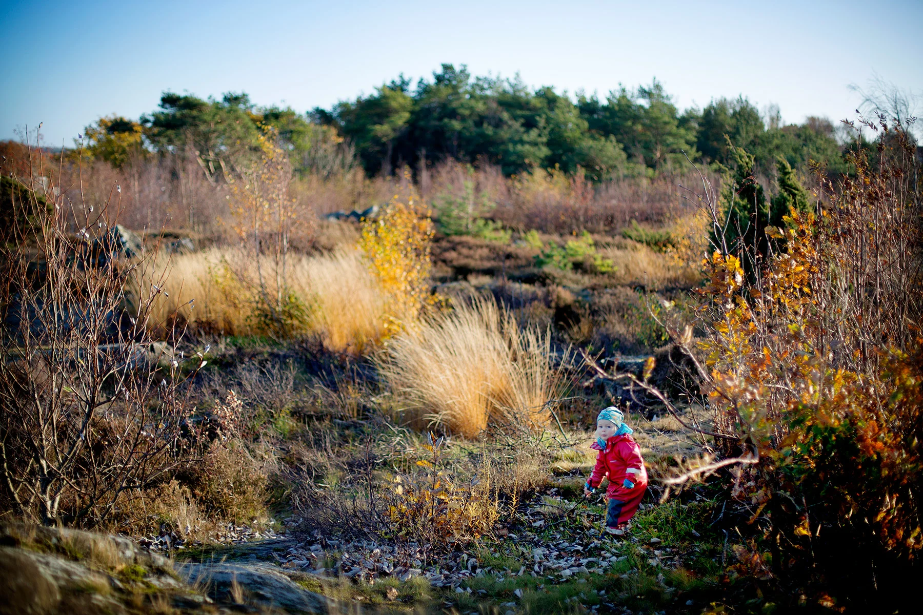 blogg-161027storaberget6.jpg