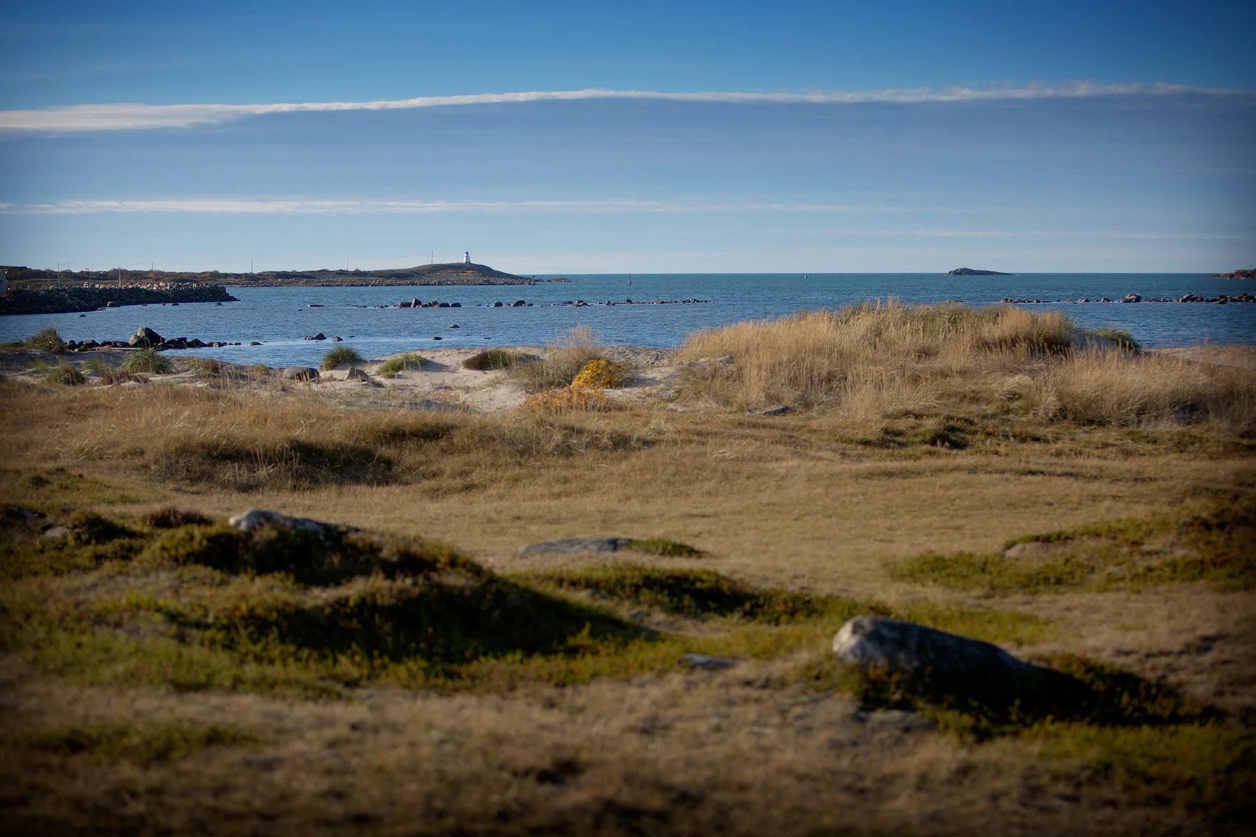 blogg-161030bale1.jpg