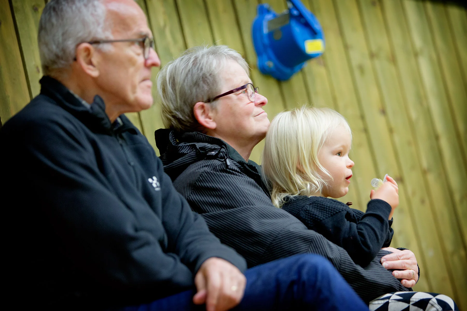 blogg-161105buaveddige12.jpg