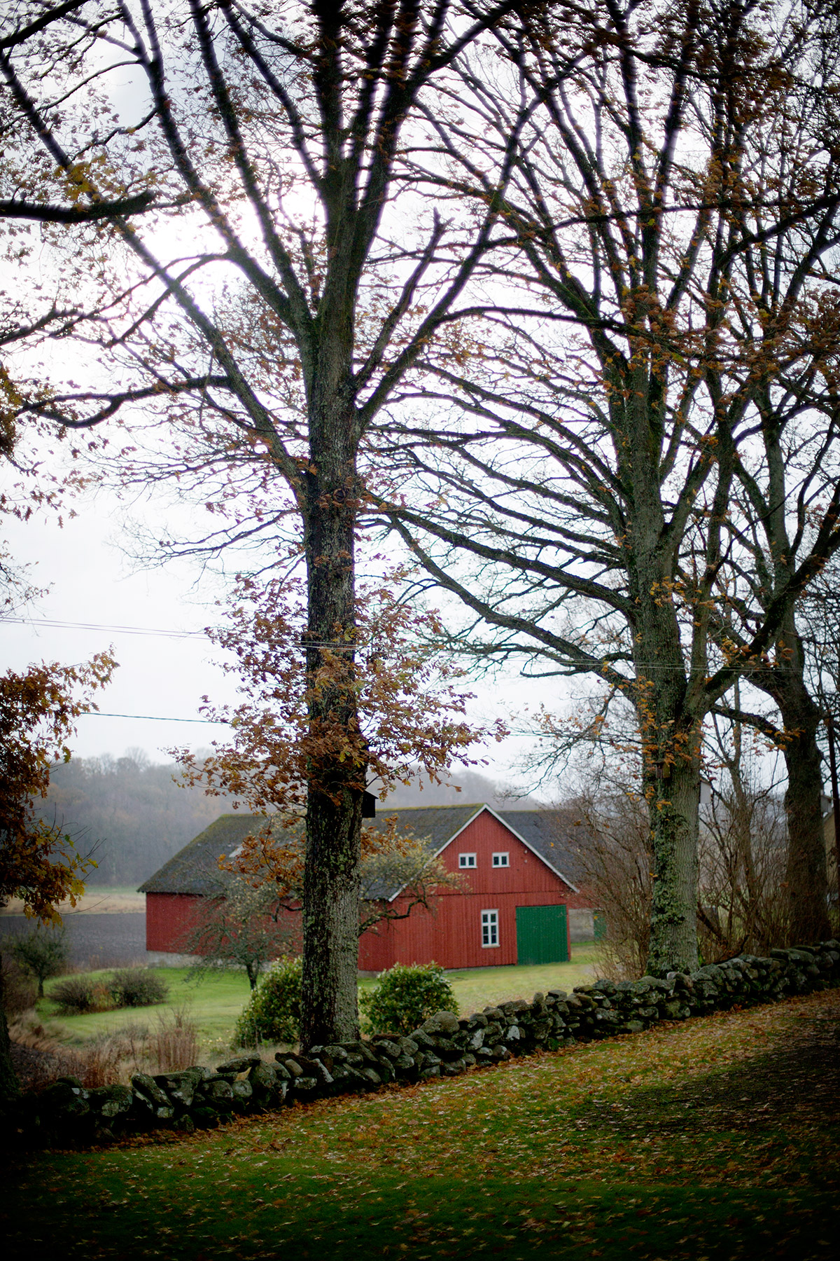 blogg-161106ambjorntorp8.jpg