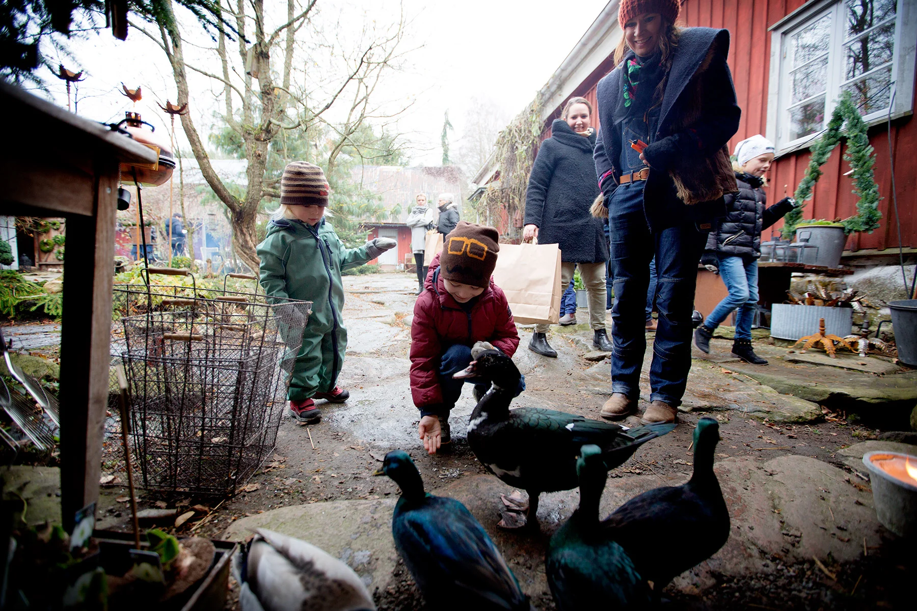 blogg-161120hakesgard5.jpg