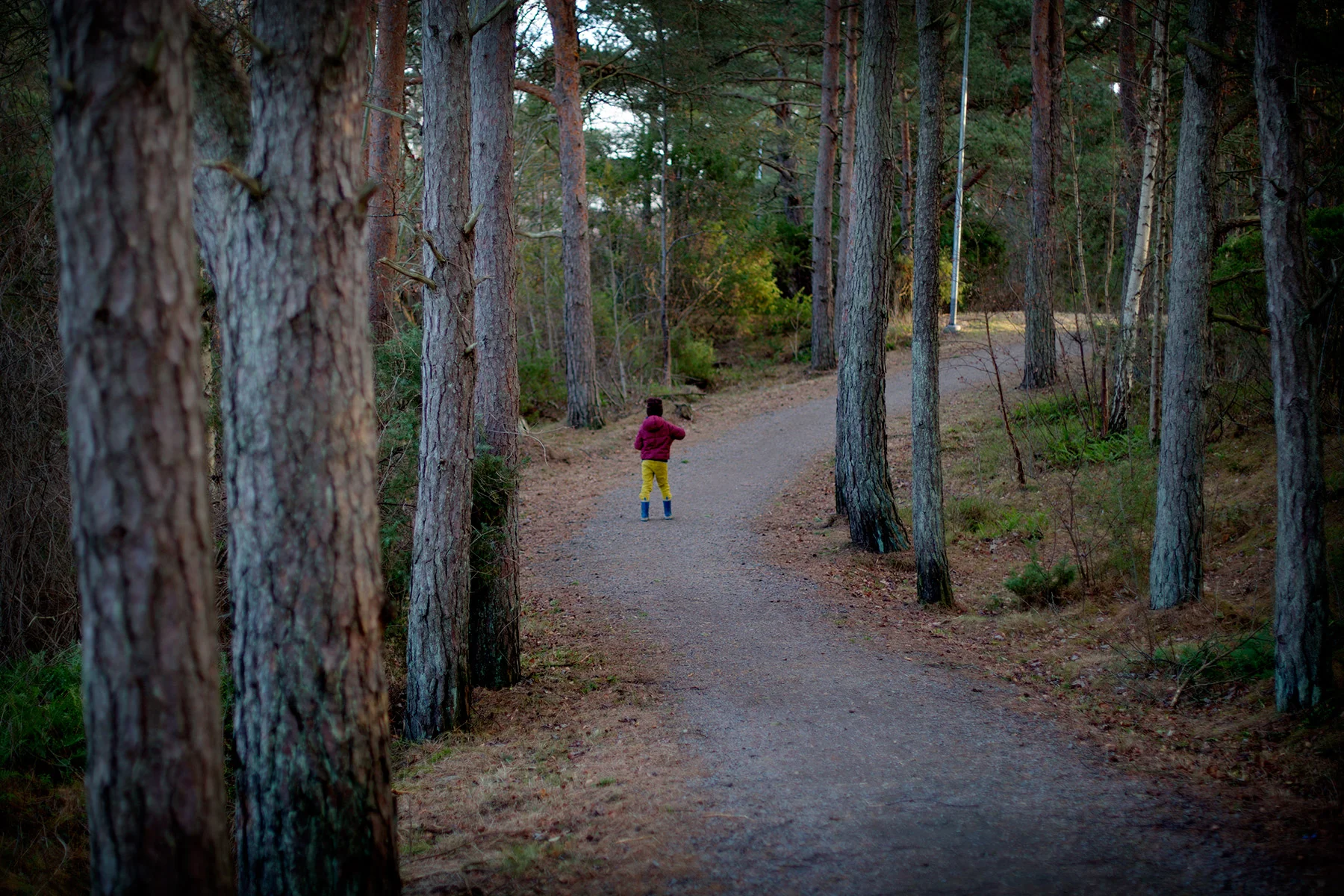 blogg-161130pokemonpromenad4.jpg