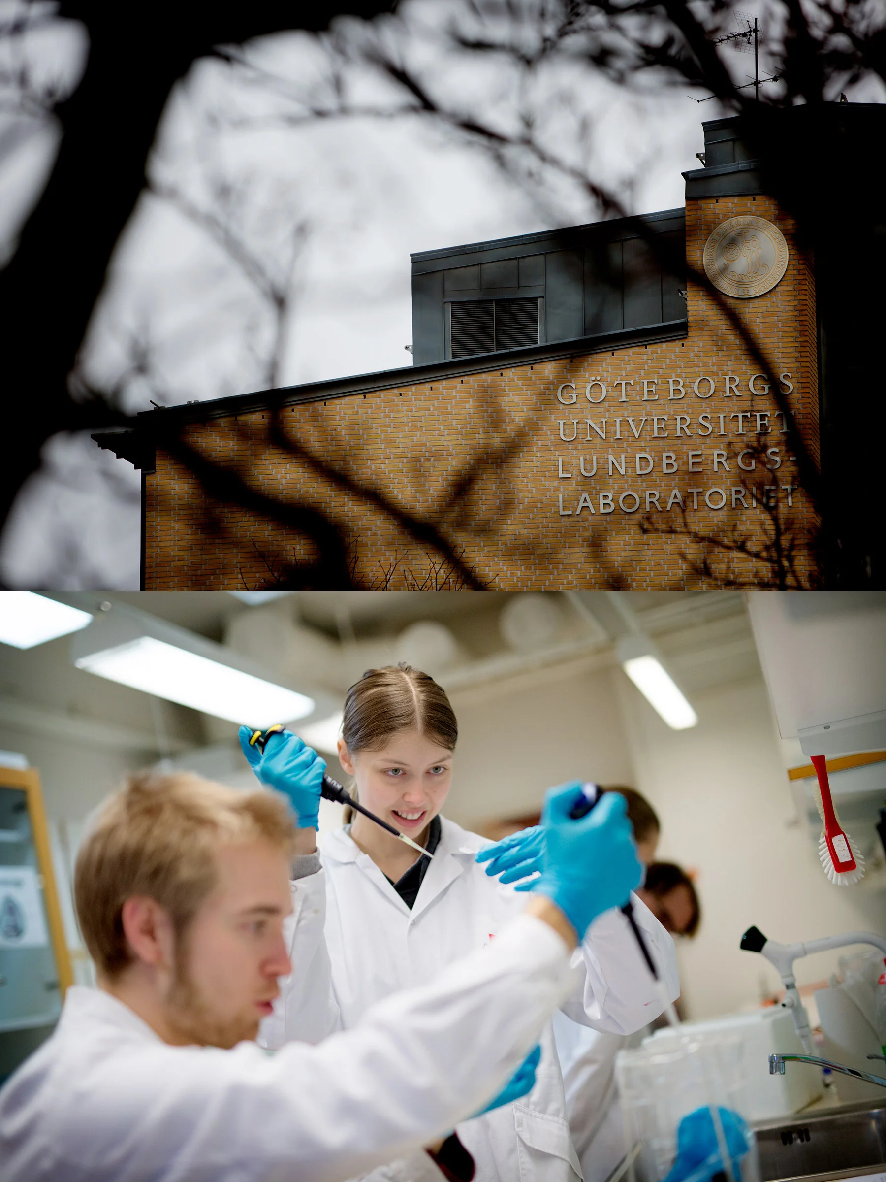 Uppe på Medicinareberget är utsikten regndimmig och kemilabben fulla av studenter som snart will be driving home for Christmas