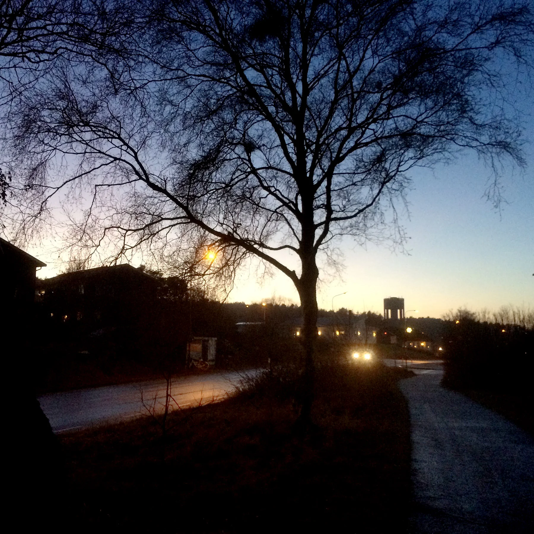 blogg-161222jultorsdag2.jpg
