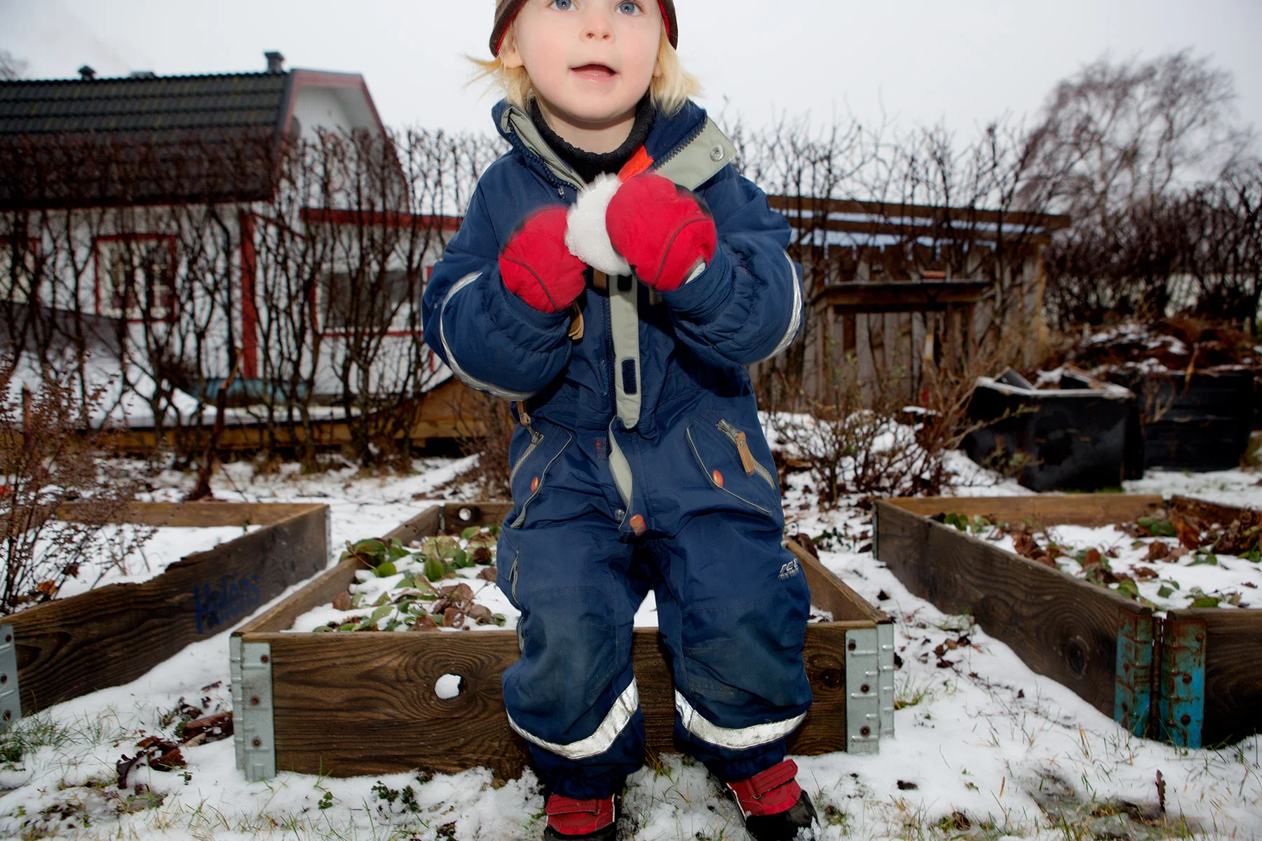 blogg-170107snobertil3.jpg