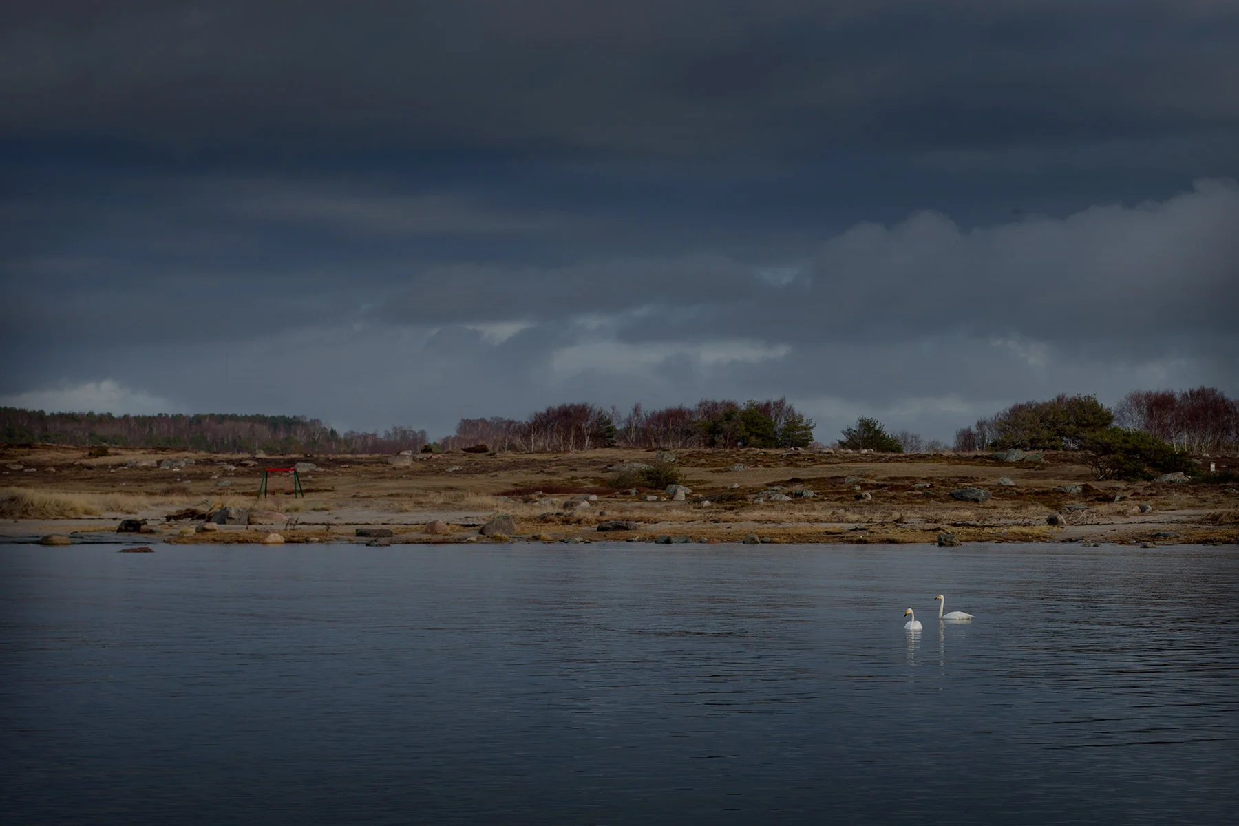blogg-170114hamnenprom5.jpg