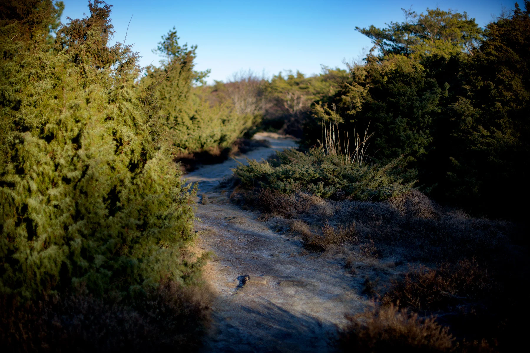 blogg-170115grillafyren4.jpg