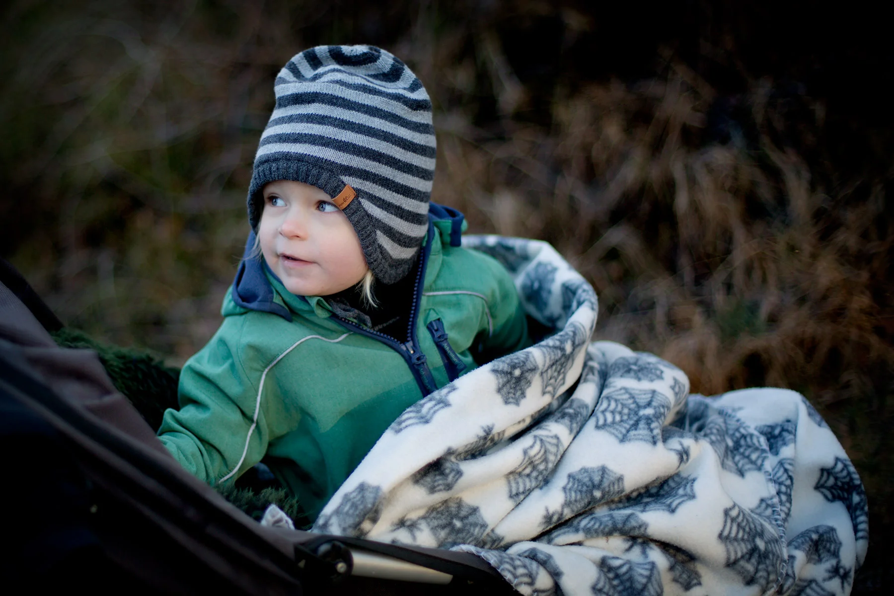 blogg-170115grillafyren7.jpg