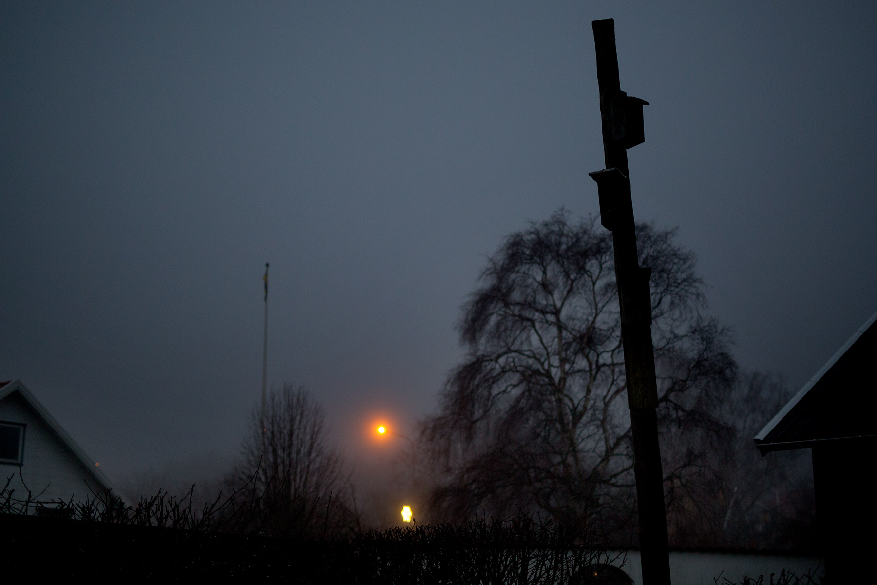 blogg-170118regnskymning4.jpg