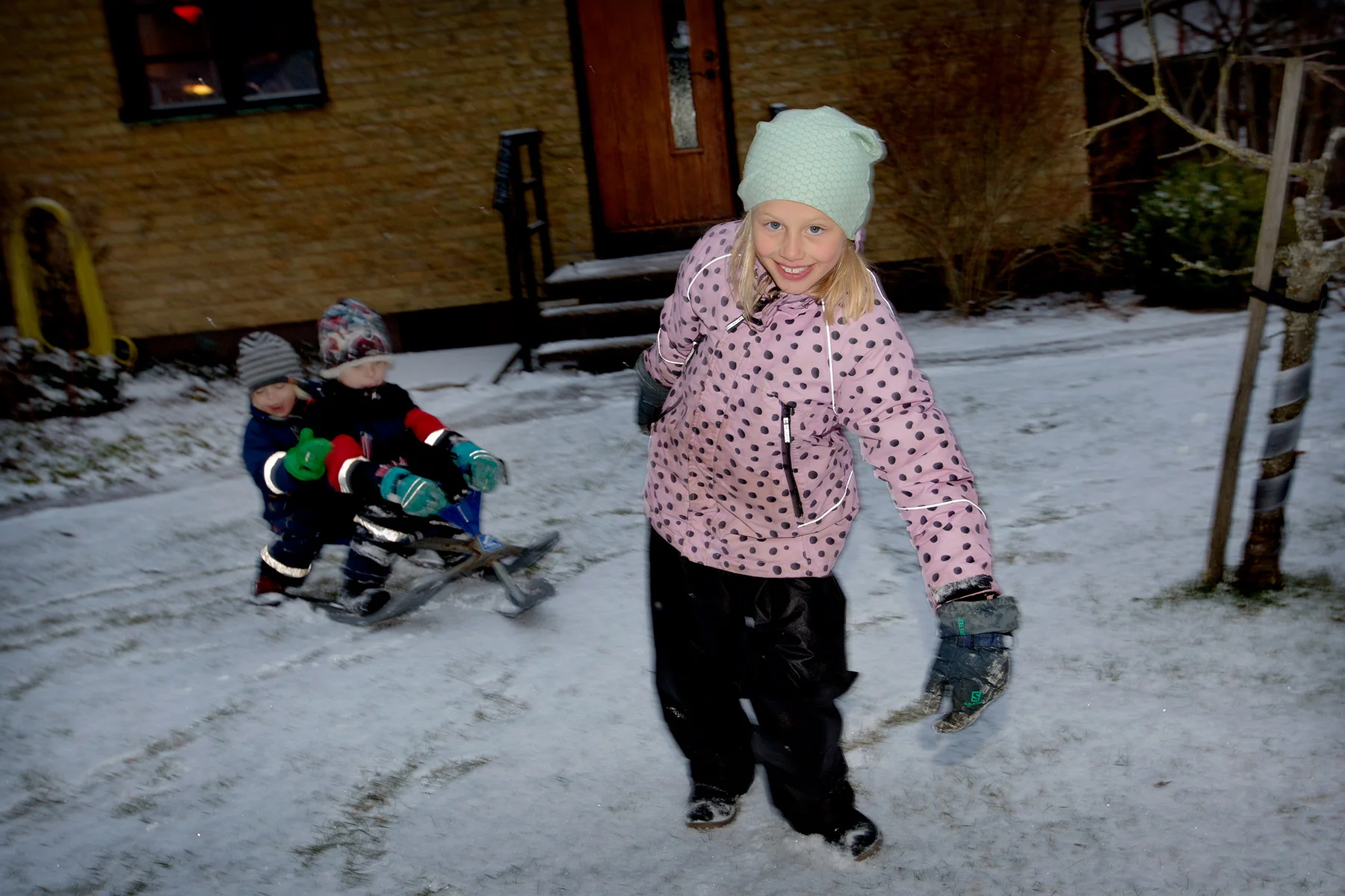 blogg-170209snotradgarden1.jpg