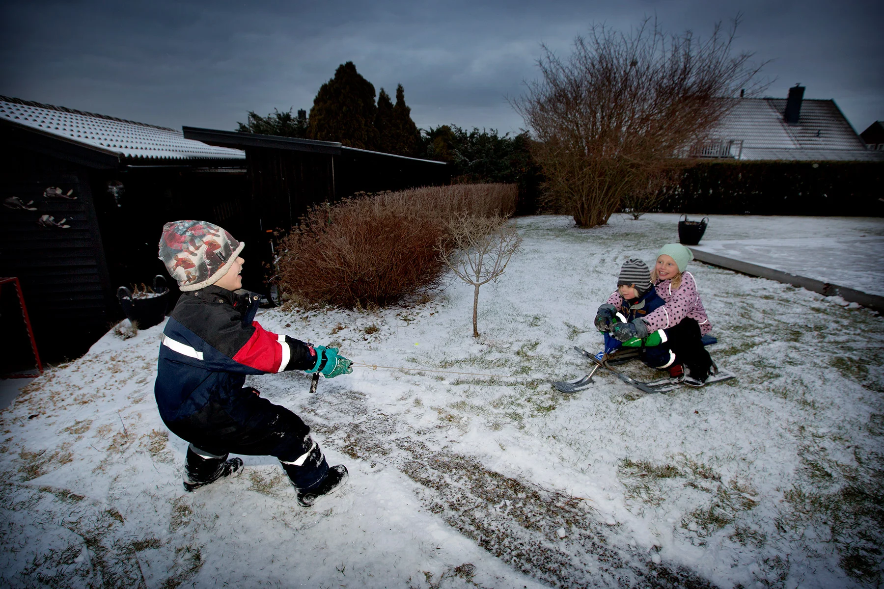 blogg-170209snotradgarden3.jpg