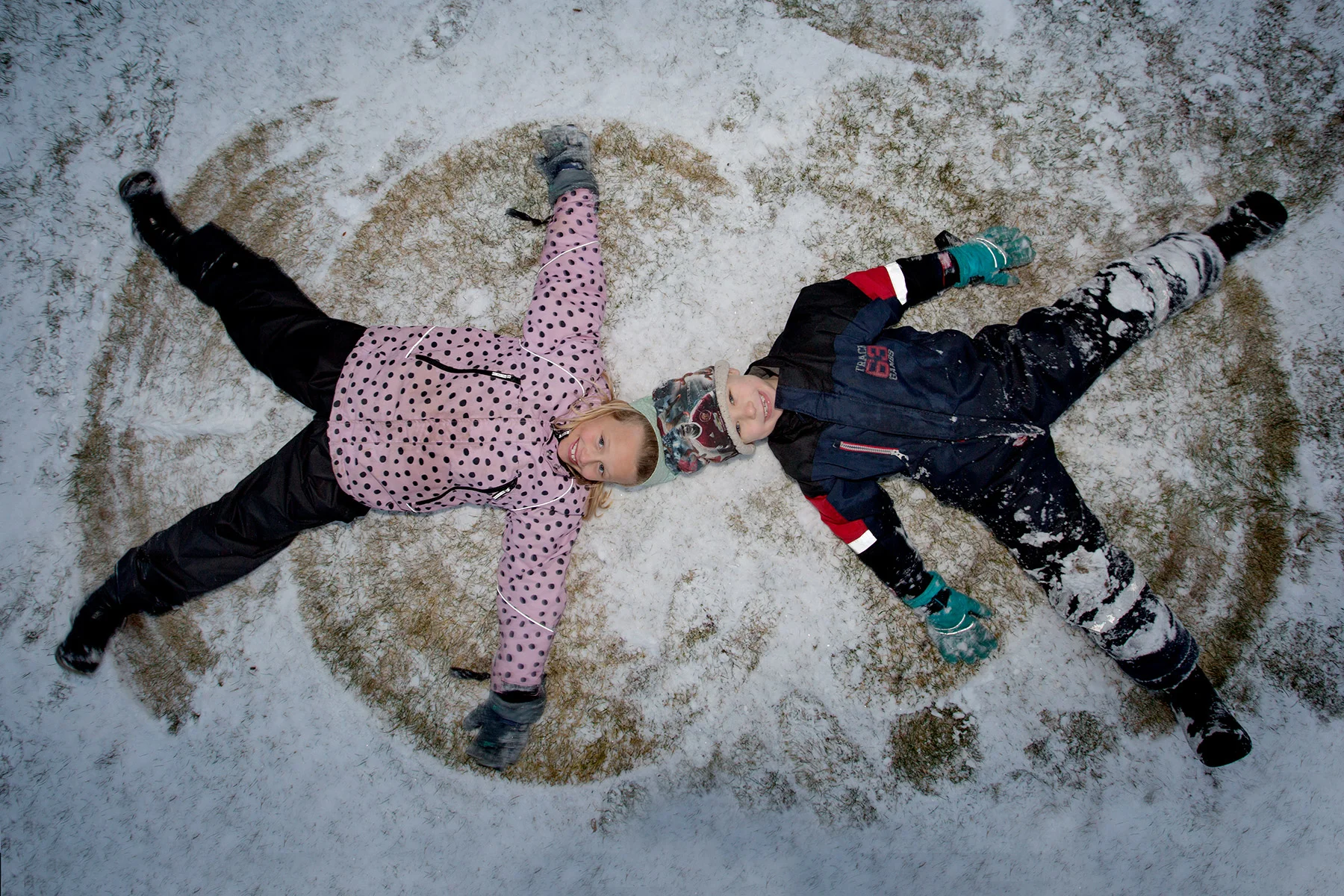 blogg-170209snotradgarden4.jpg