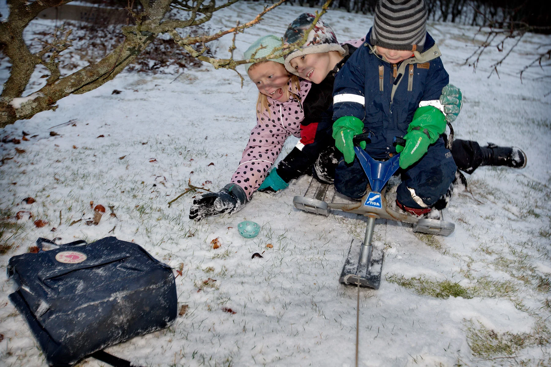 blogg-170209snotradgarden7.jpg