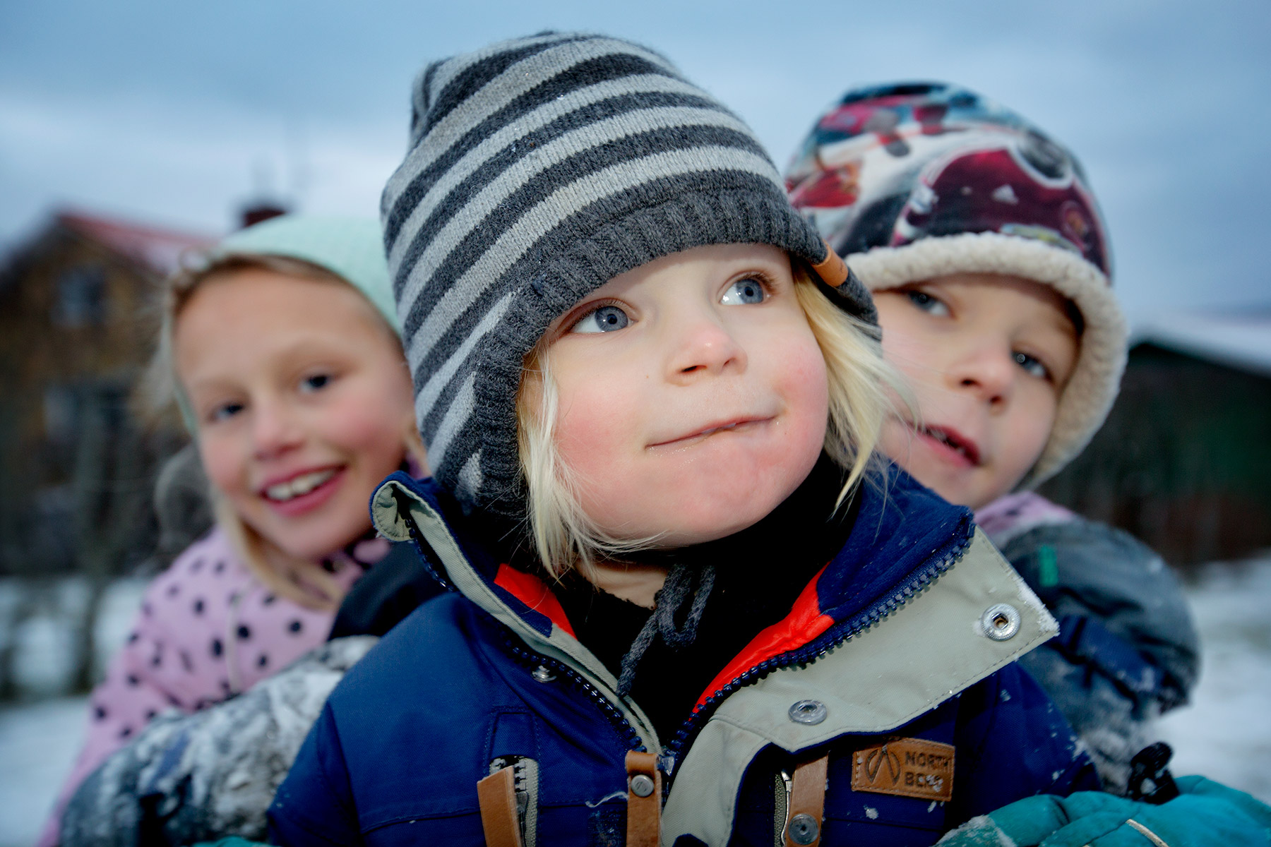 blogg-170209snotradgarden6.jpg