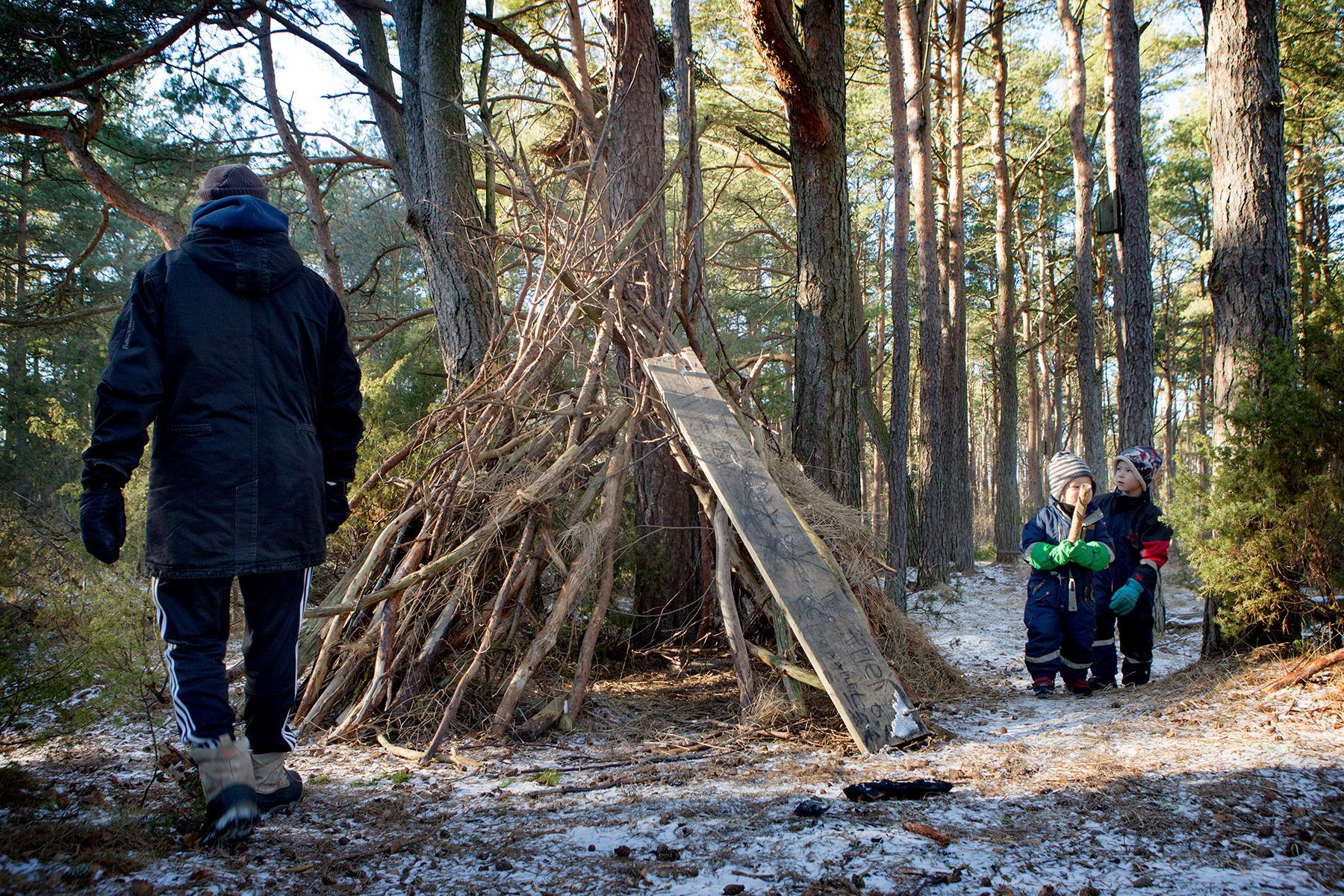 blogg-170211skogen1.jpg