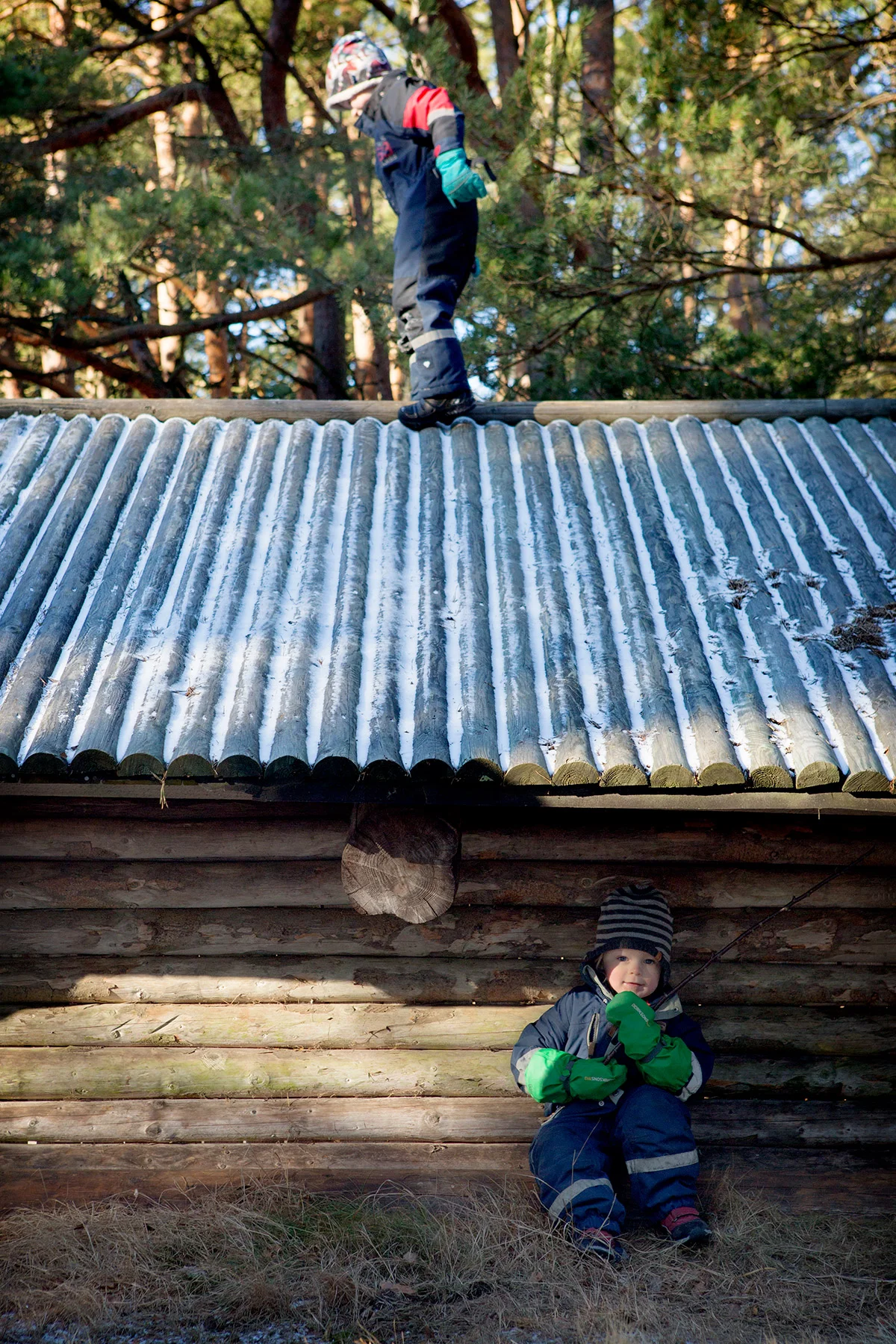 blogg-170211skogen4.jpg