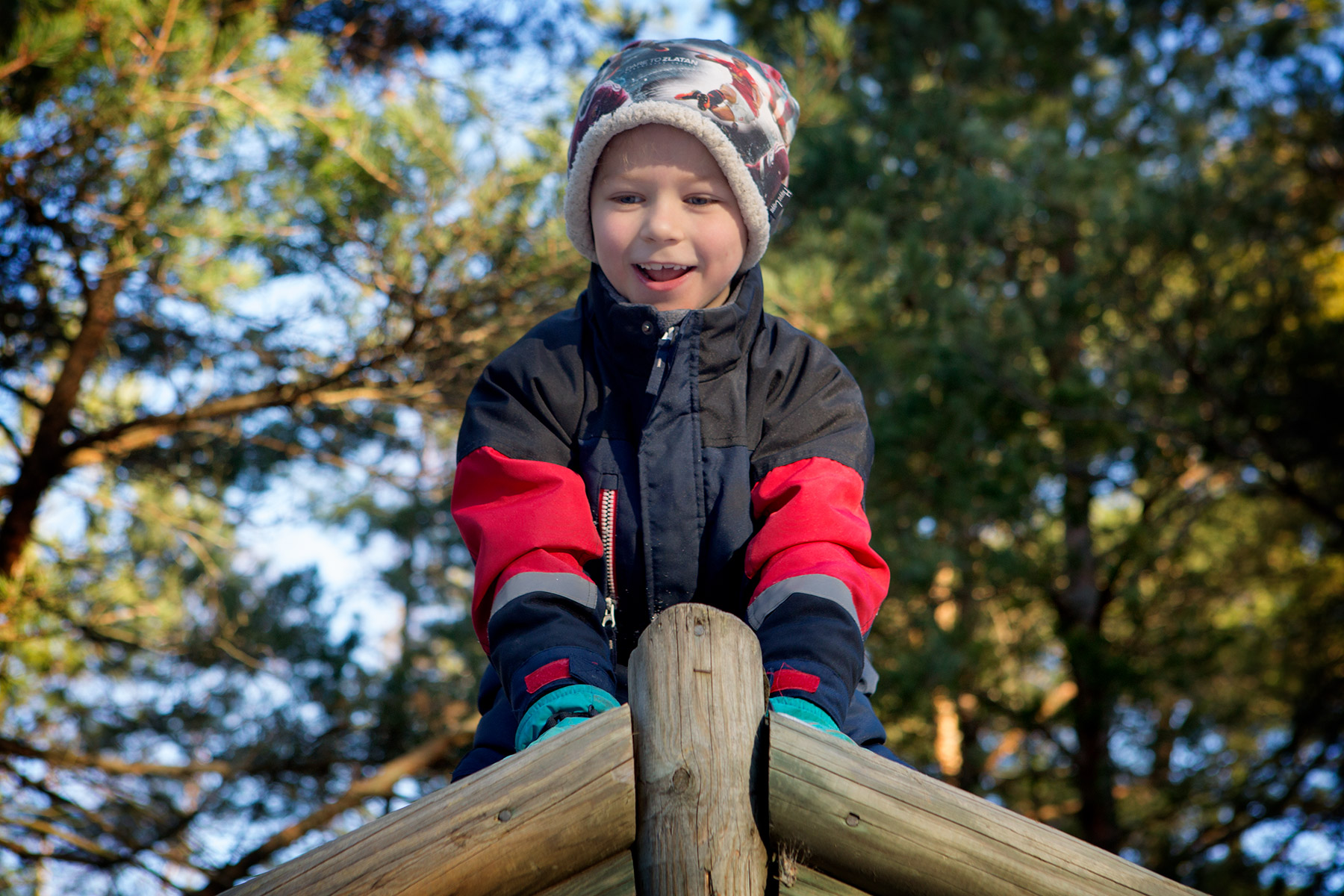 blogg-170211skogen3.jpg