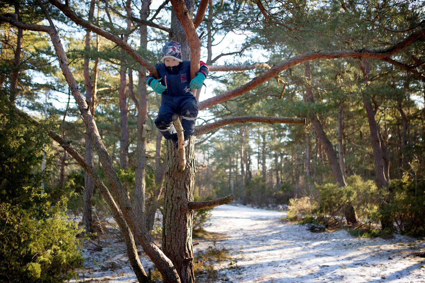 blogg-170211skogen7.jpg