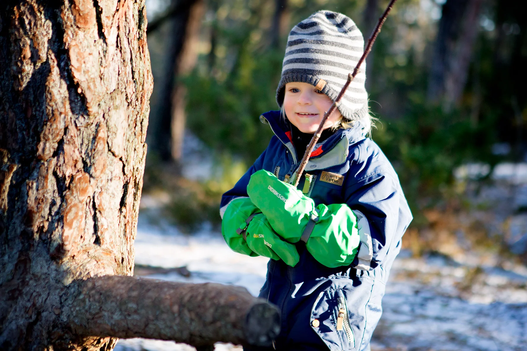 blogg-170211skogen8.jpg