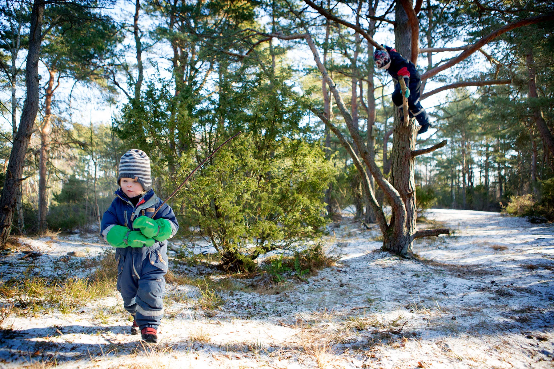 blogg-170211skogen9.jpg