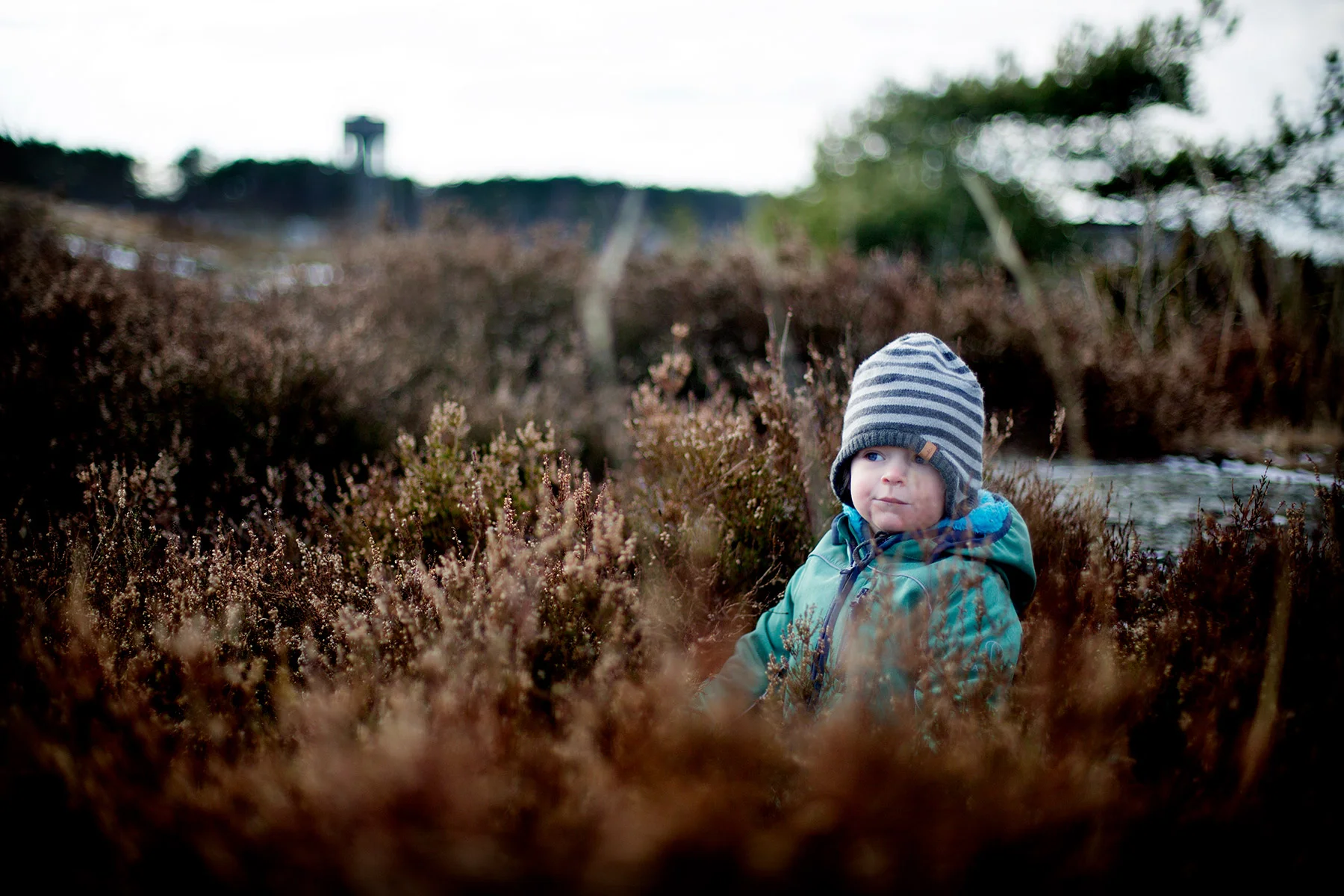 blogg-170212storaberget5.jpg