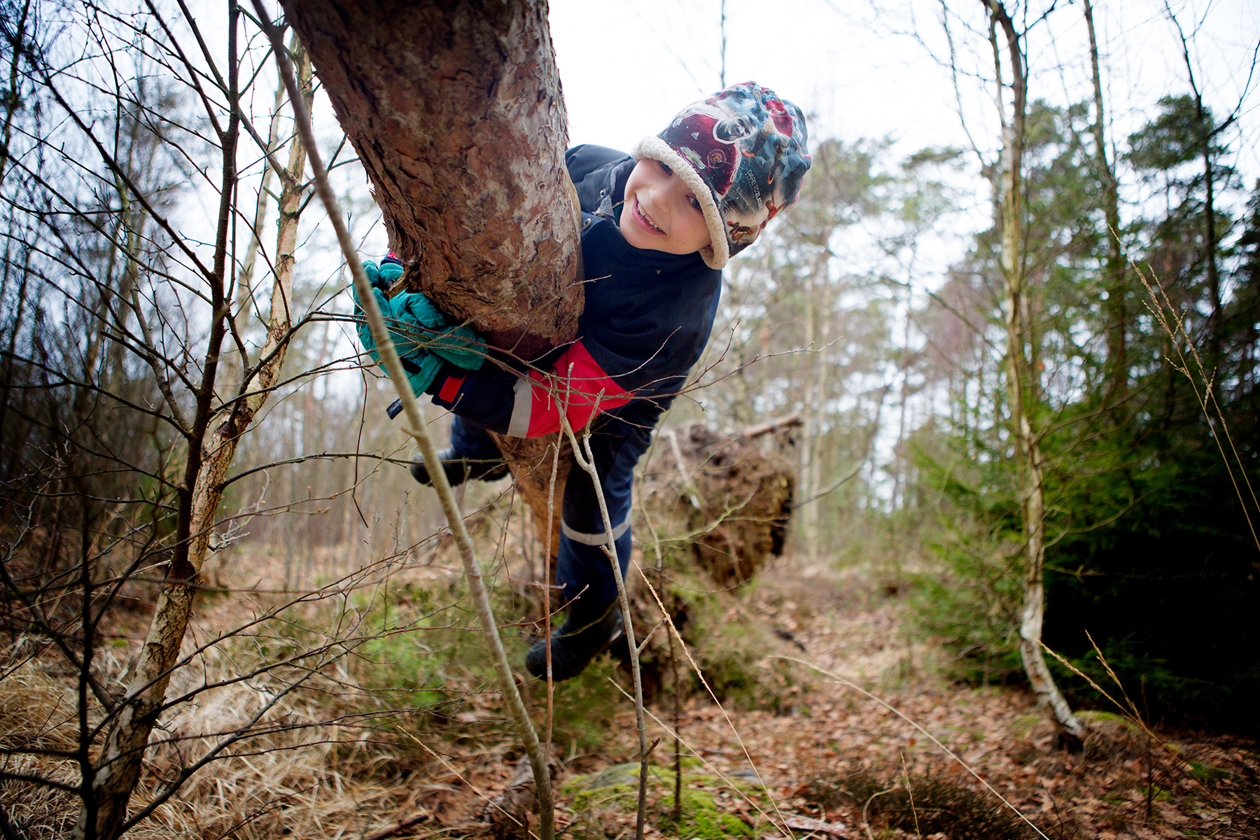 blogg-170225vindskyddet7.jpg