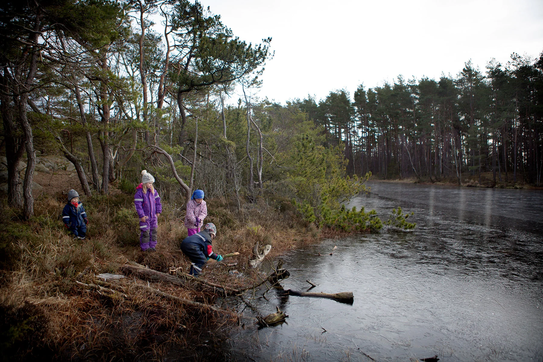 blogg-170225vindskyddet8.jpg