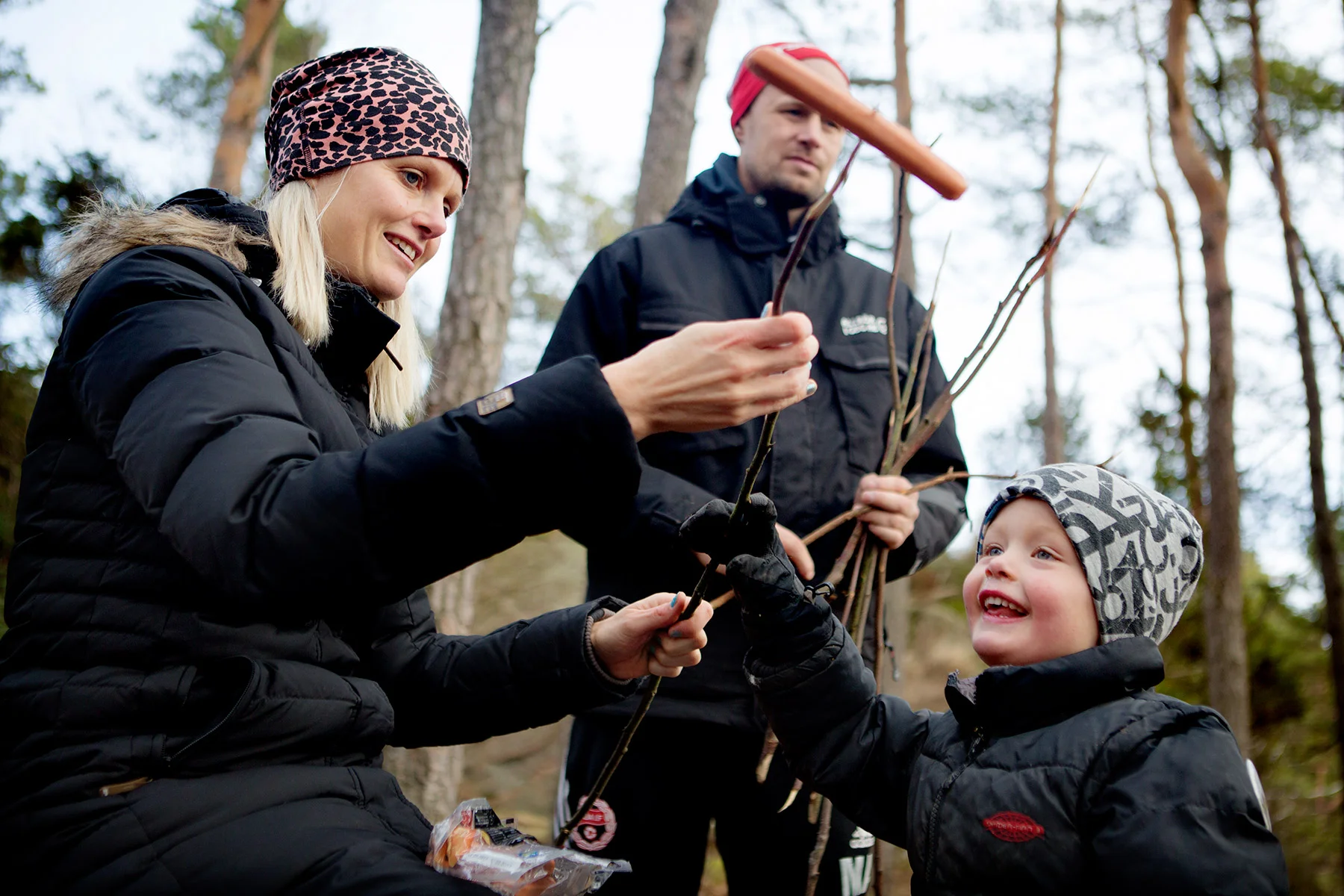 blogg-170225vindskyddet18.jpg