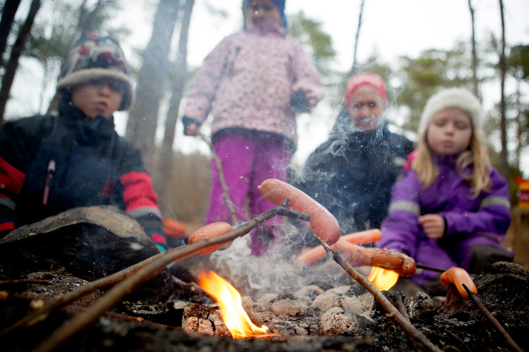 blogg-170225vindskyddet20.jpg
