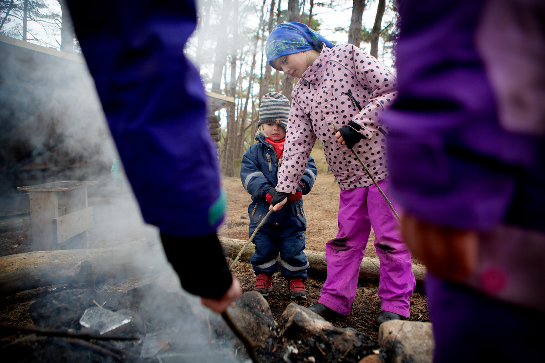blogg-170225vindskyddet29.jpg