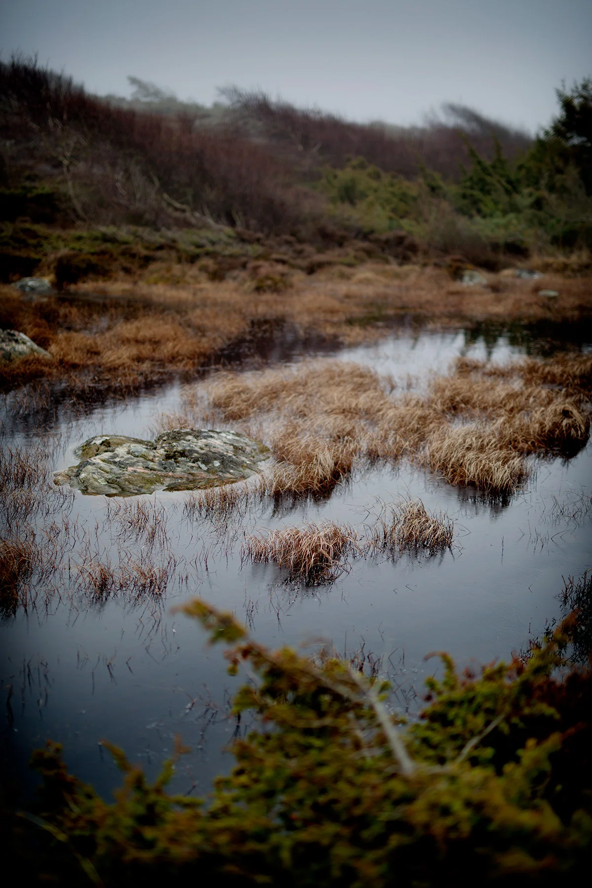 blogg-170309kroksta5.jpg