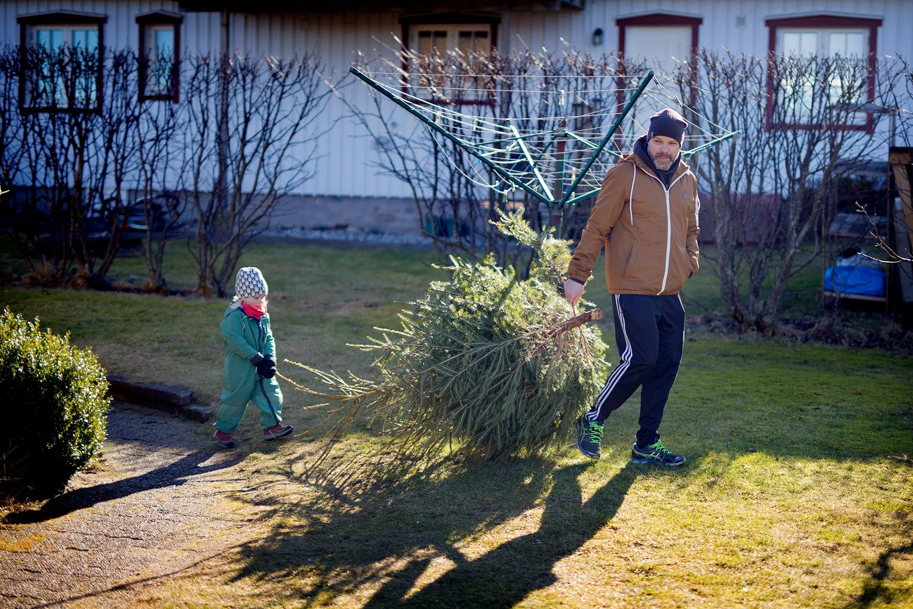 blogg-170310tradgarden7.jpg