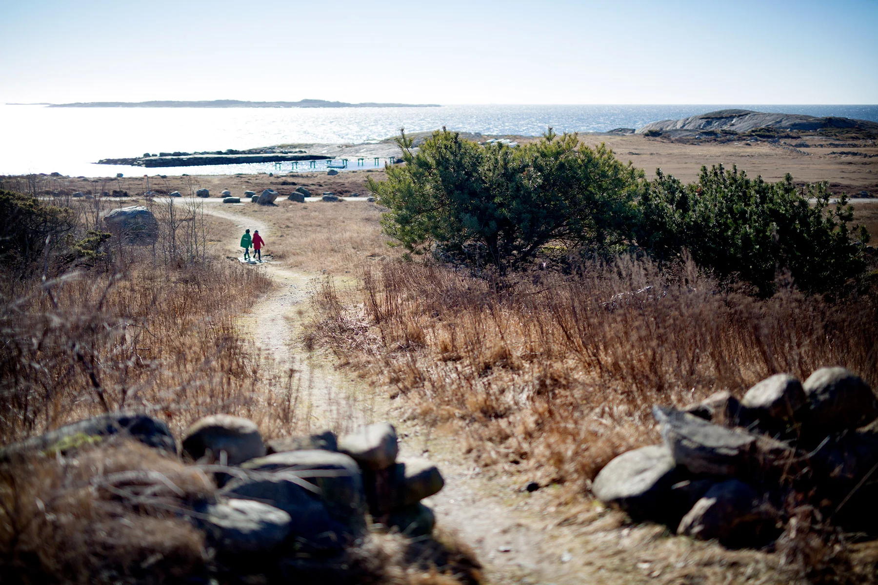 blogg-170310buastrand5.jpg