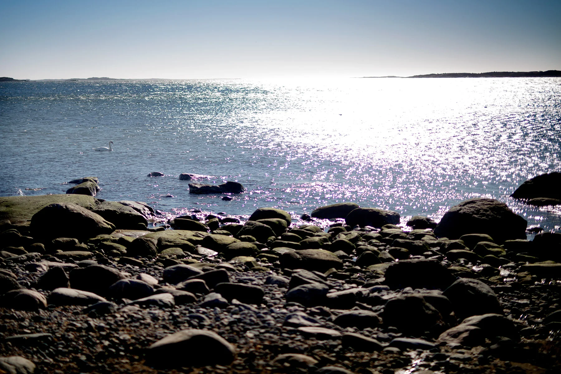 blogg-170310buastrand7.jpg