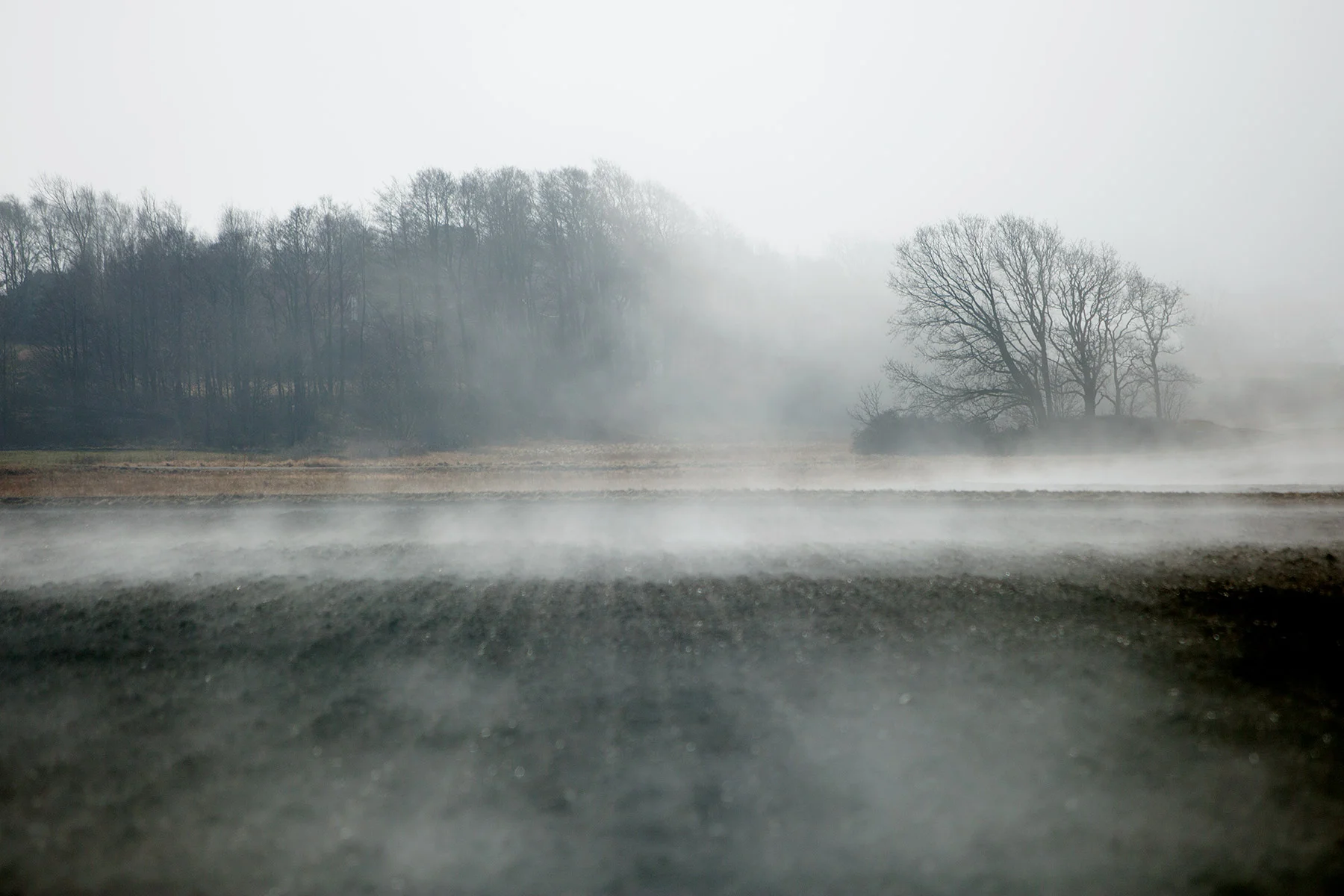 blogg-170311dimma2.jpg