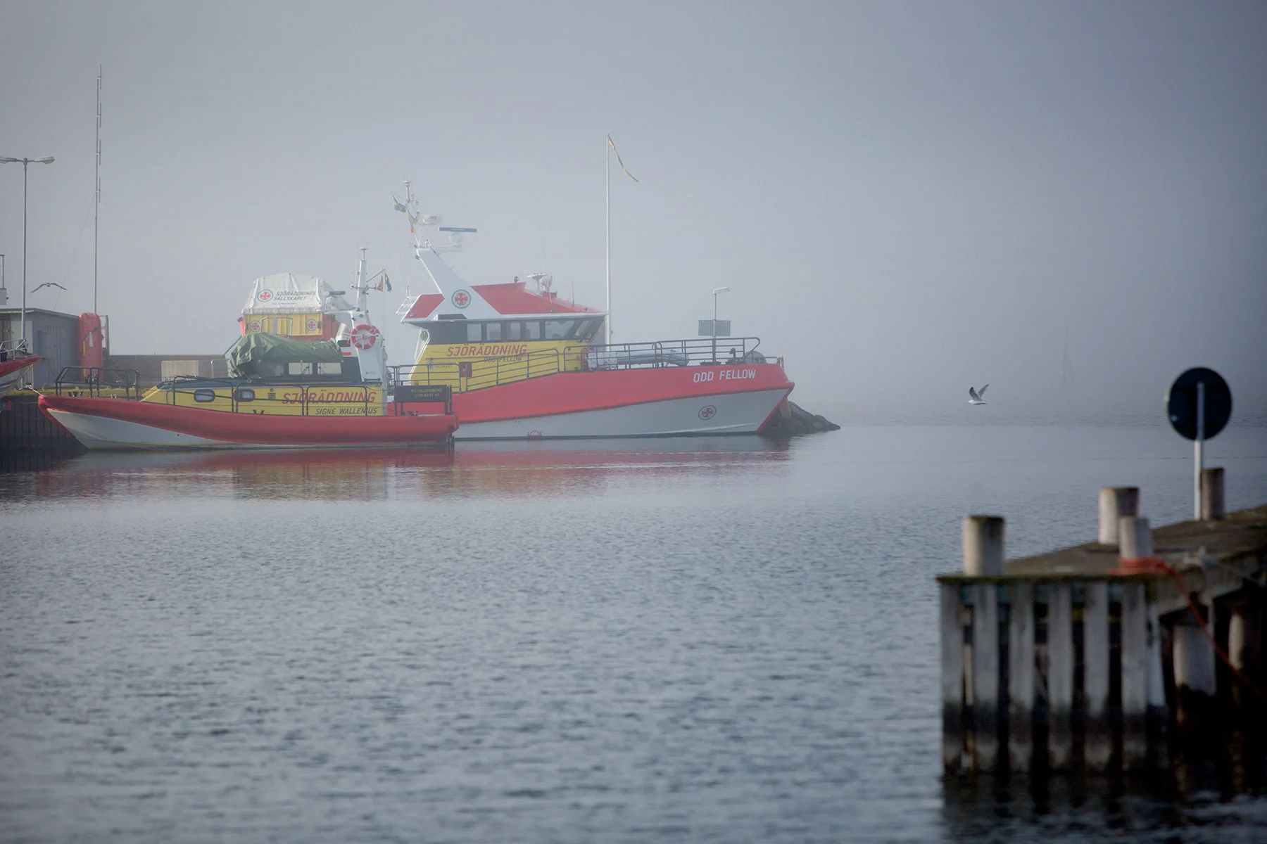 blogg-170311dimma4.jpg
