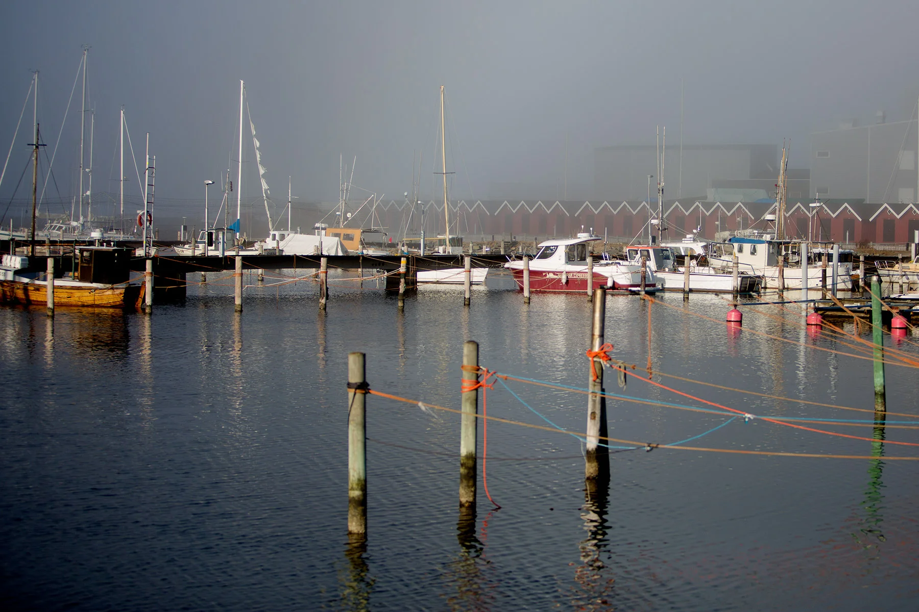 blogg-170311dimma7.jpg