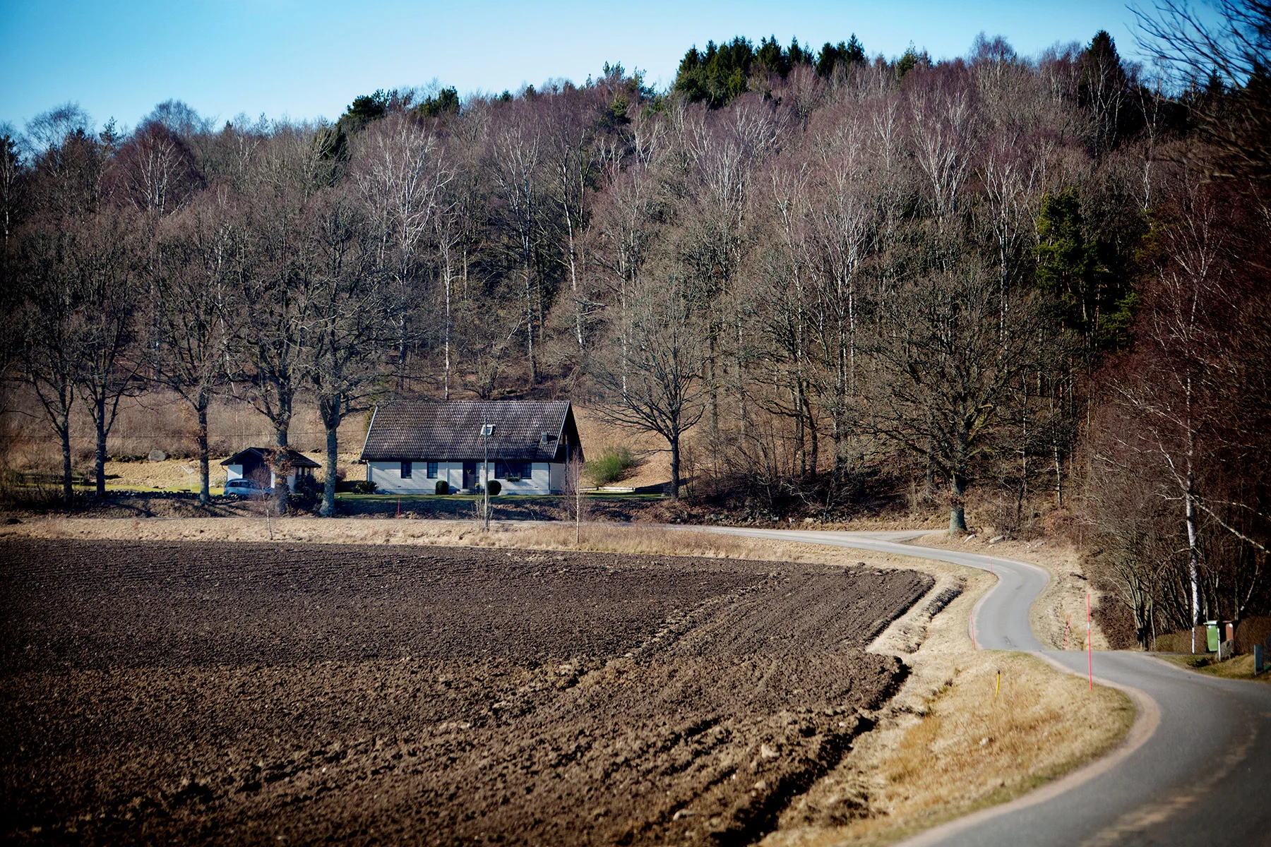 blogg-170311borrasskara1.jpg