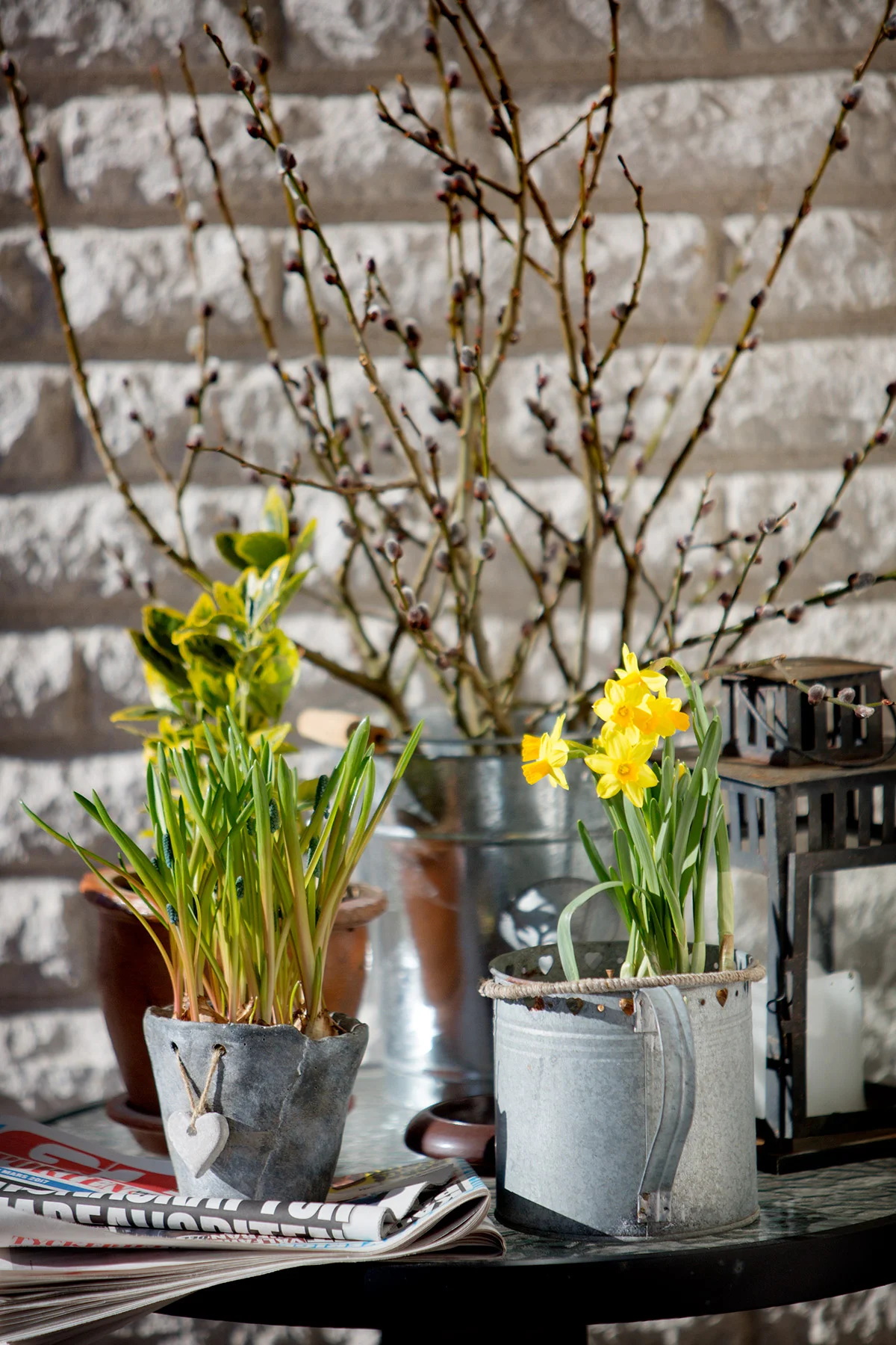 blogg-170311hosewa4.jpg