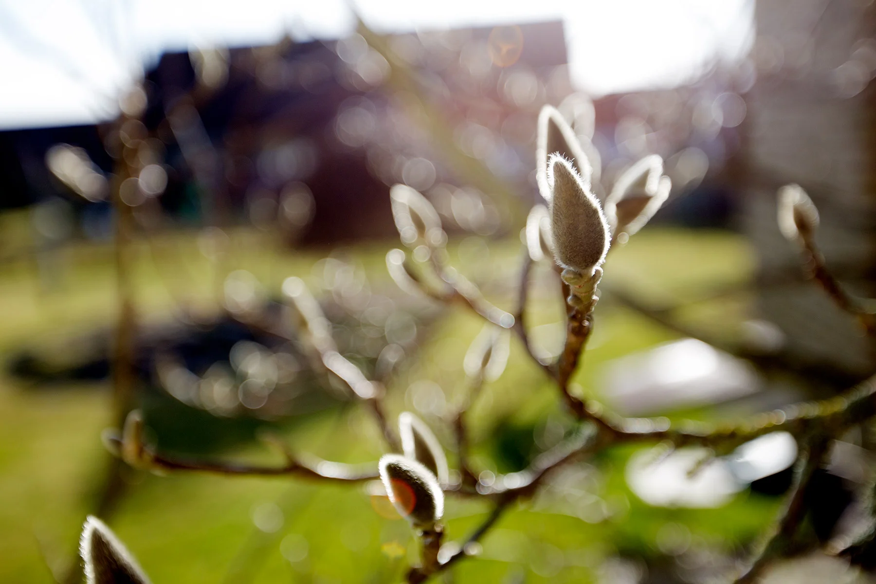 blogg-170322veddige7.jpg