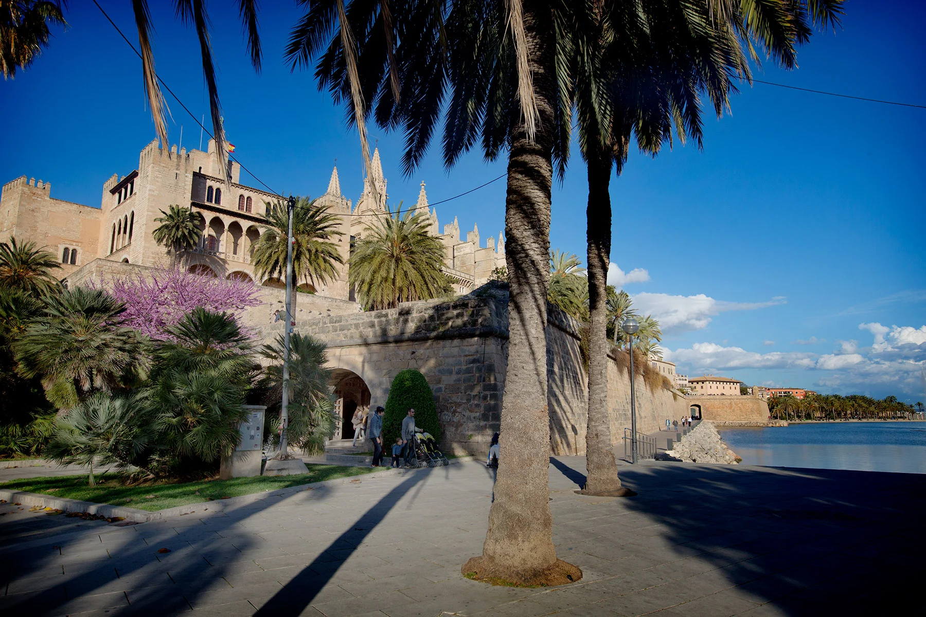 blogg-170401palmasenare1.jpg