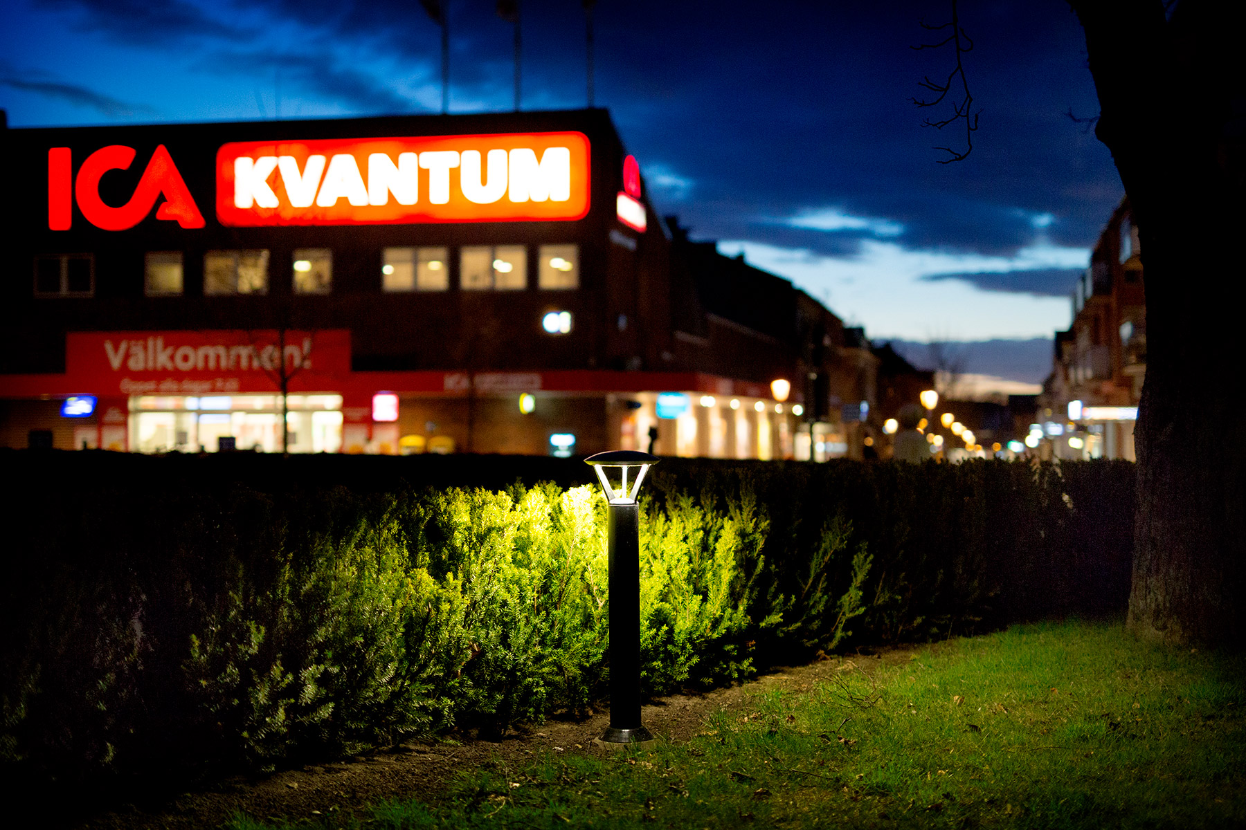 blogg-170405fotokursmorker5.jpg